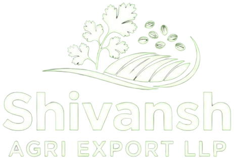 Shivansh agri export - Premium Agri Export